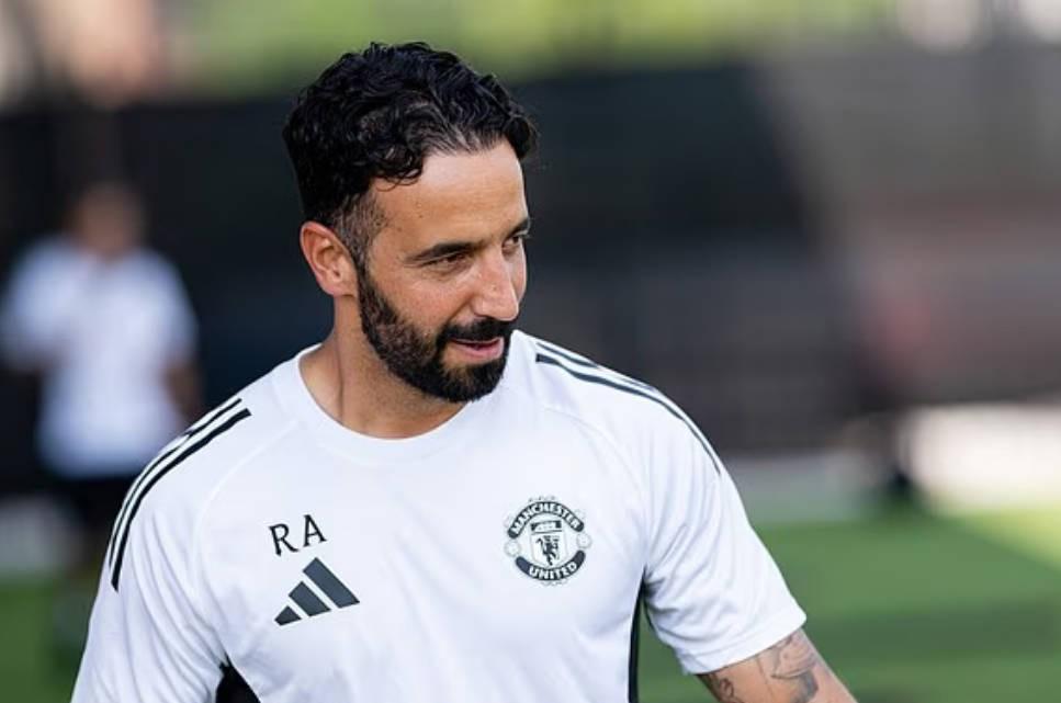 新帅候选, 和发展轨迹 新帅候选, 和发展轨迹