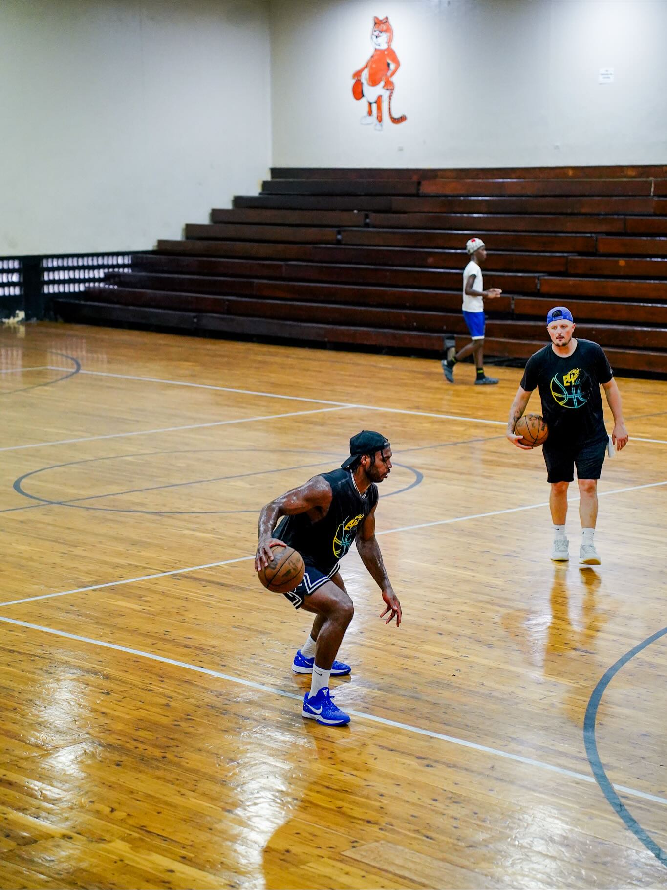 tenan, https tenan, https